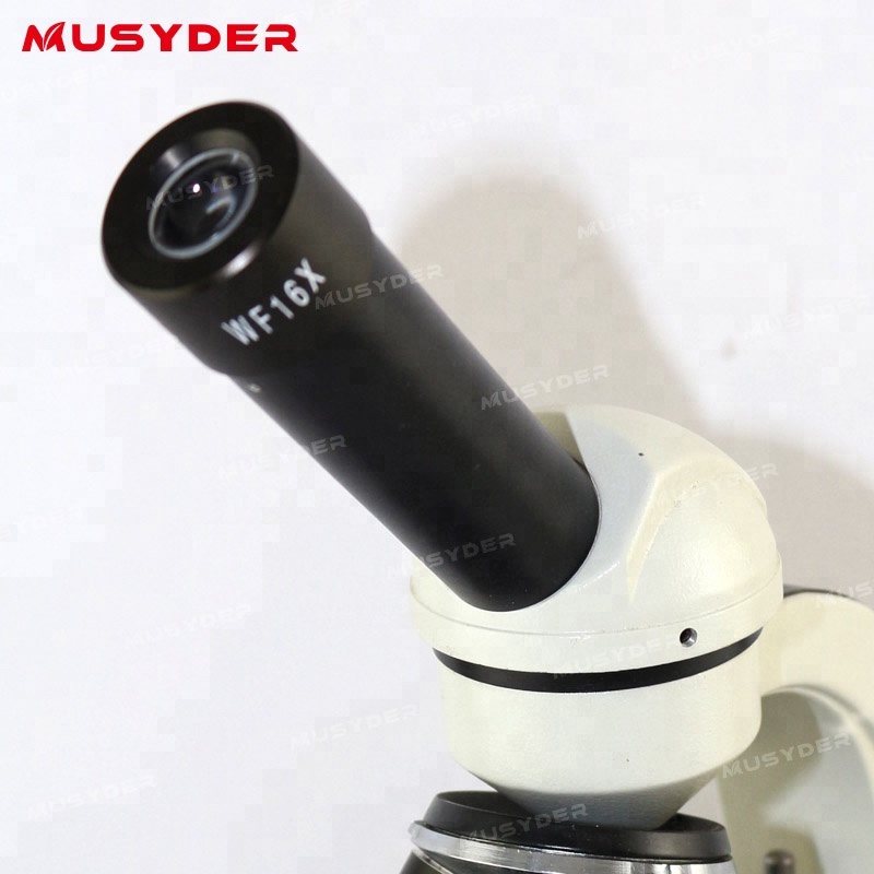 prašič umetno osemenjevanje za biološki mikroskopi s ceno kamere