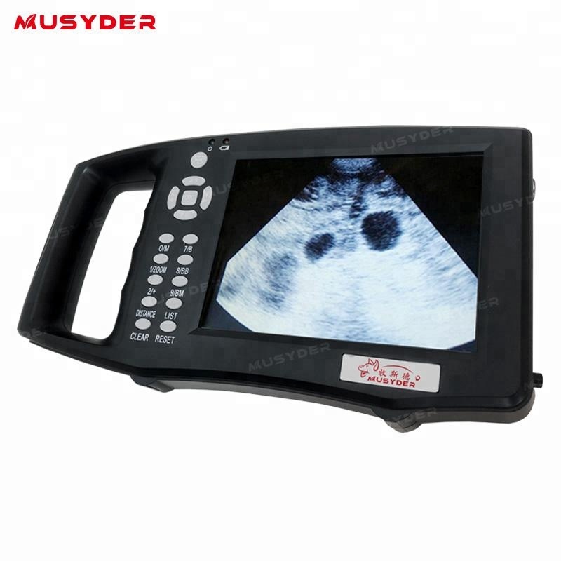 china mini pig ultrasound machine for pregnancy