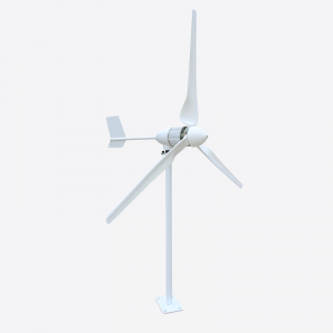 JLF5 800W-3KW 12V 24V 48V Horizontal Wind Turbine Jenareta