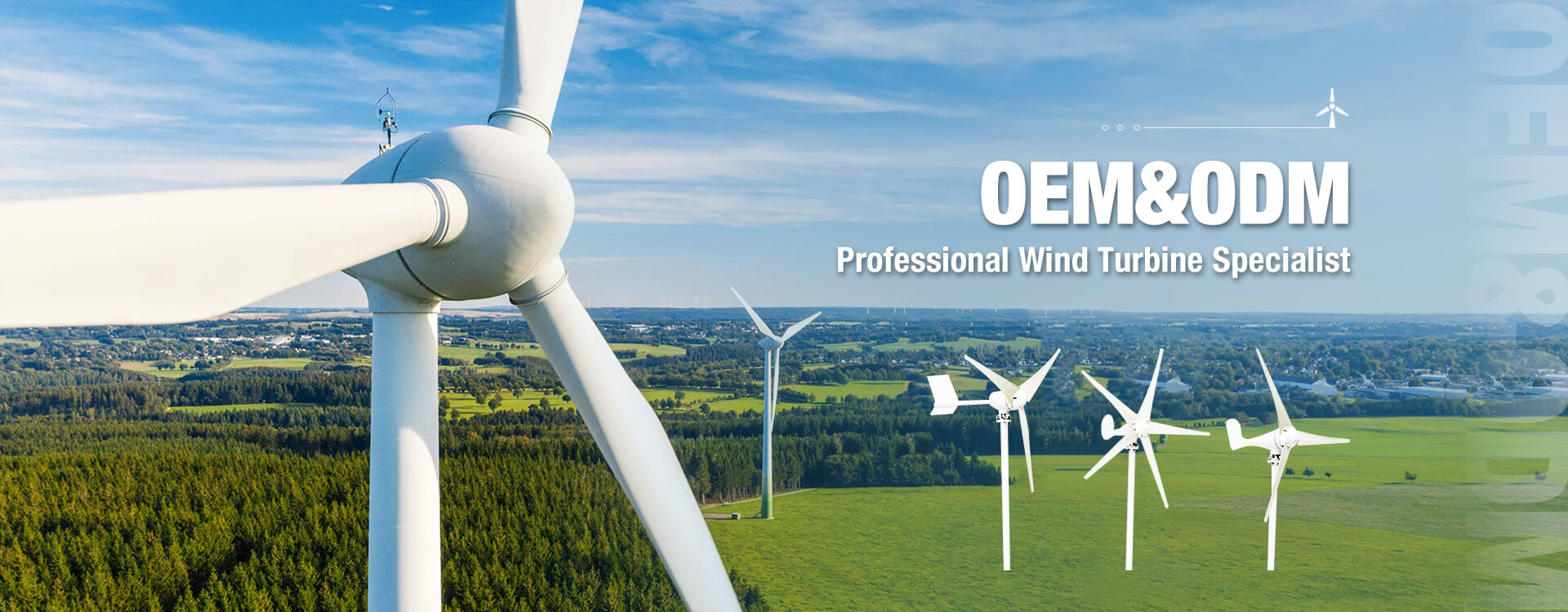 Professional Wind Turbine Specialist