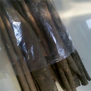 Cinnamon Bark Oil（Supercritical Extraction）
