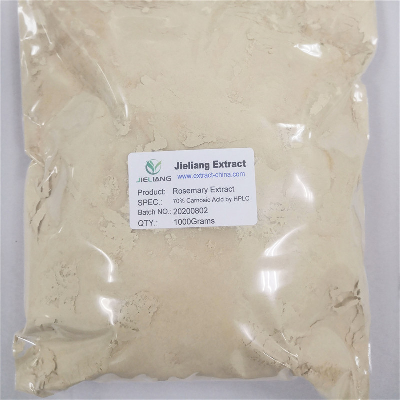 Carnosic Acid from Rosemary Extract Featured Image