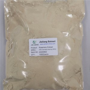 Rosemary Extract, Rosmarinic acid, Carnosic acid