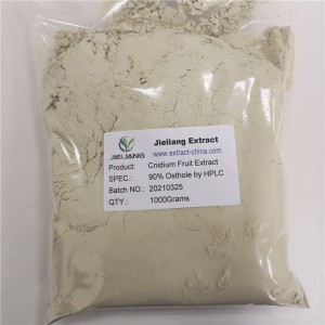 China Artichoke Extract Factories - Cnidium Fruit Extract, Osthole  – JL EXTRACT