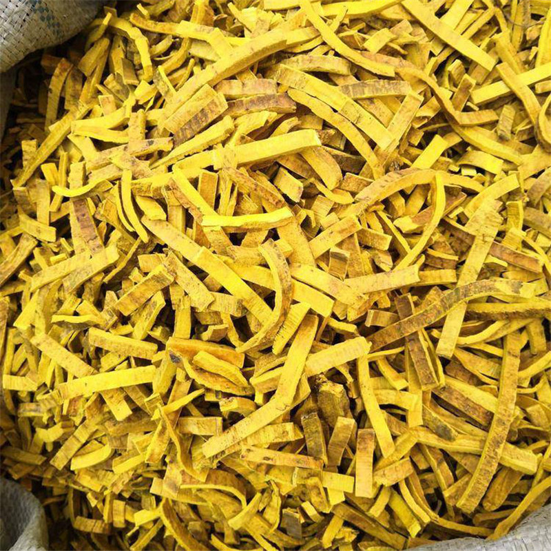 Phellodendron Extract, Berberine, Berberine HCL Featured Image