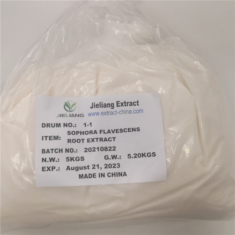 Jieliang Sophora flavescens Root Extract  98% Oxymatrine 20210822