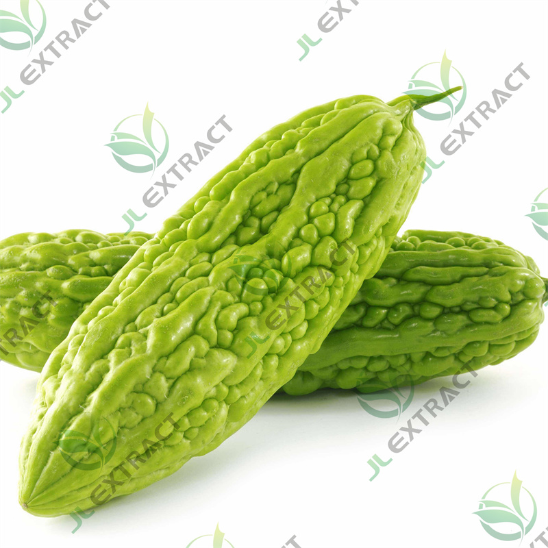 Momordica Charantia Extract, Bitter Melon Extract Featured Image