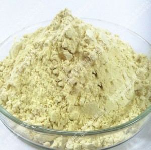 Ginger Extract, Ginger Root Extract