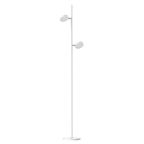 Excellent quality Led Recessed Downlight -  floor lamp FE10221 – Jowye