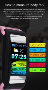 T9 Body Fat Continuously HR