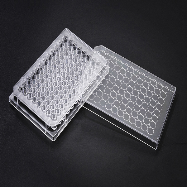 Medical grade sterile PP material 6-well culture plate