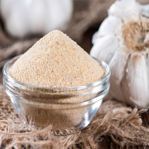 Top Suppliers Garlic Extract Powder Manufacturer in Dubai