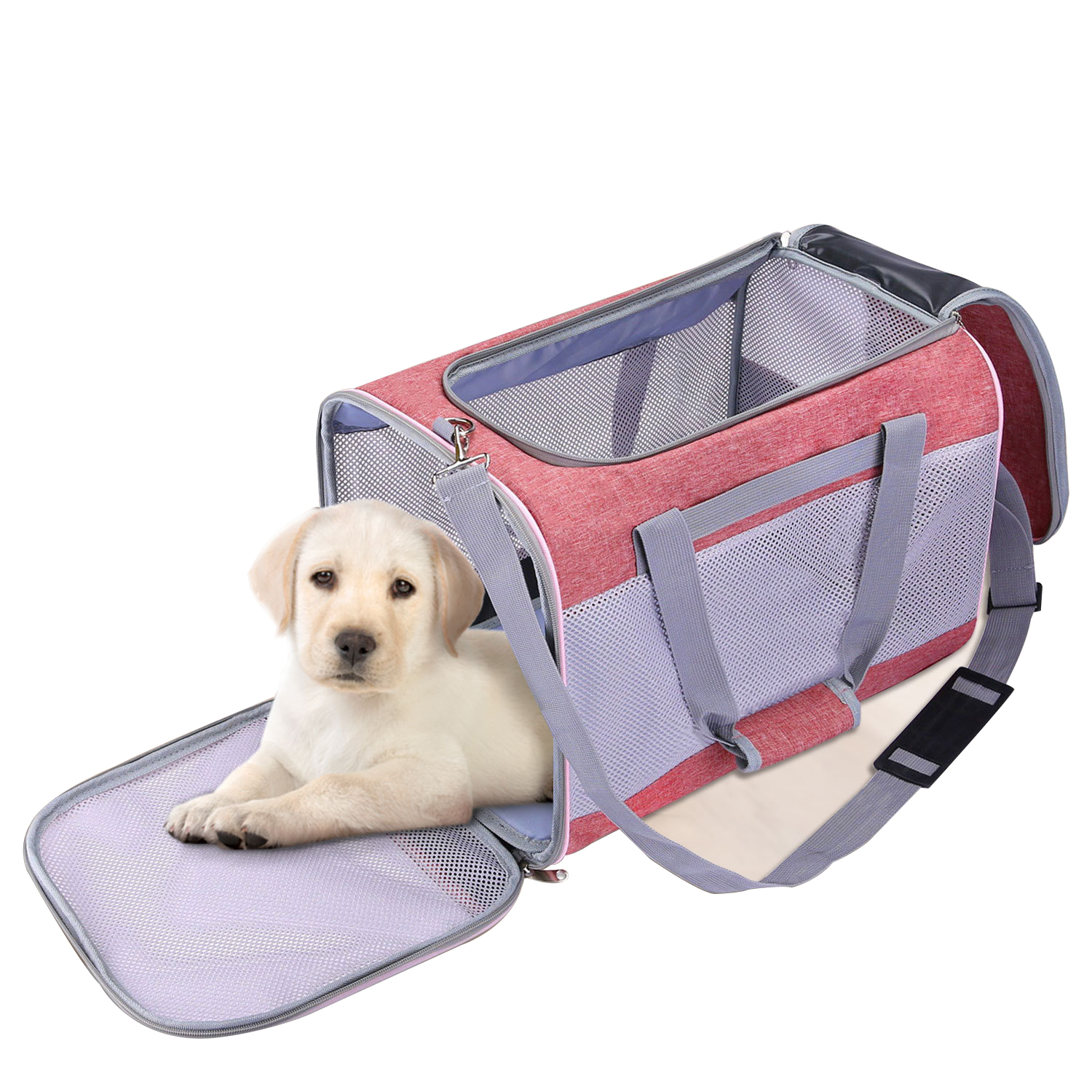 کیف قابل تنفس کیف تاشو پارچه ای آکسفورد برای حمل حیوانات خانگی مشبک