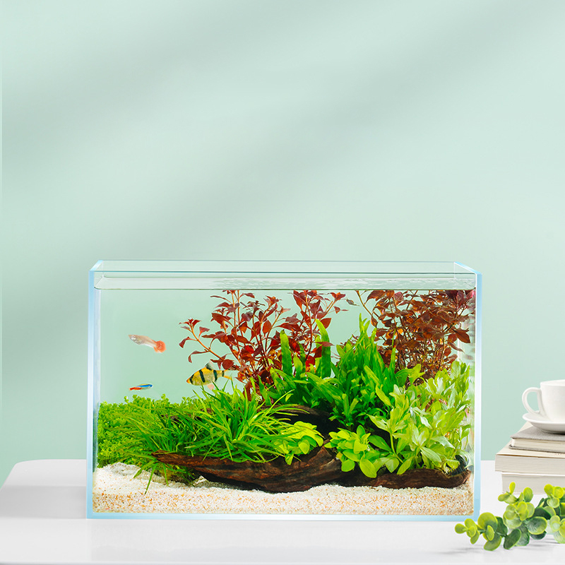 Hot selling rectangular ecological small fish t...