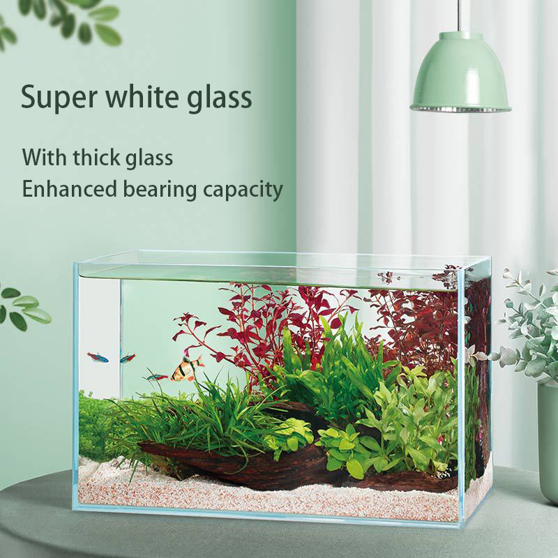 Hot selling rectangular ecological small fish tank ultra white glass 5mm glass aquarium