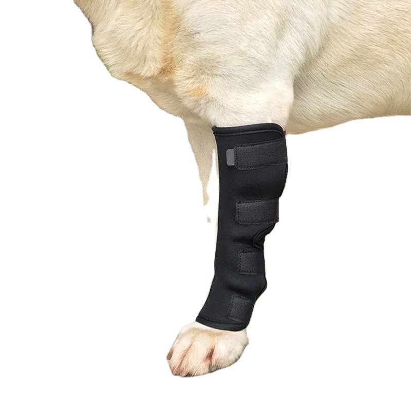 थोक कुत्ते के घुटने के पैड को गर्म कुत्तों के घायल कुत्ते के घुटने के पैड रखने के लिए समायोजित किया जा सकता है
