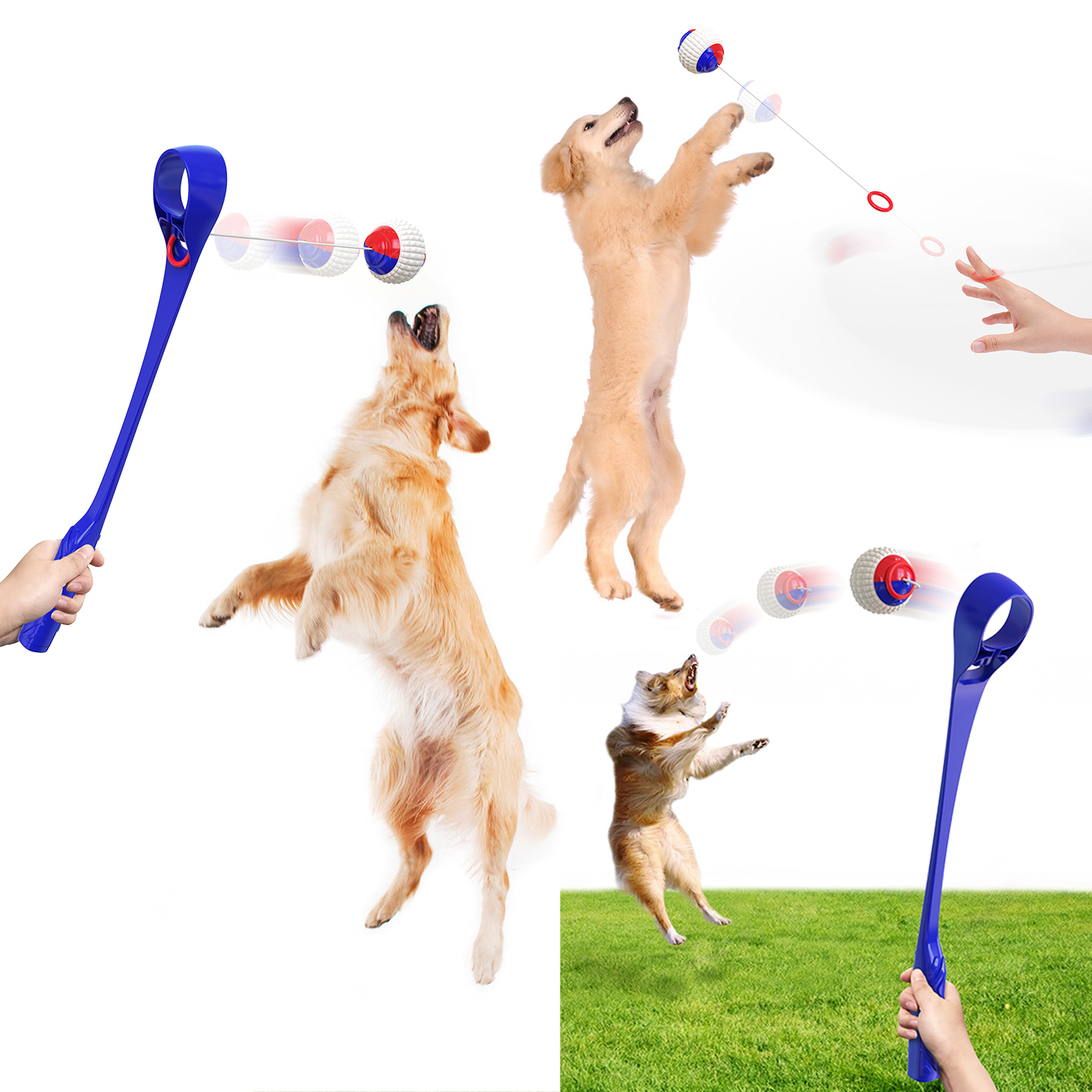 โต้ตอบสุนัขเดินของเล่นสุนัขขว้างปาของเล่นโต้ตอบไม้คิวกลางแจ้งขว้างบอล
