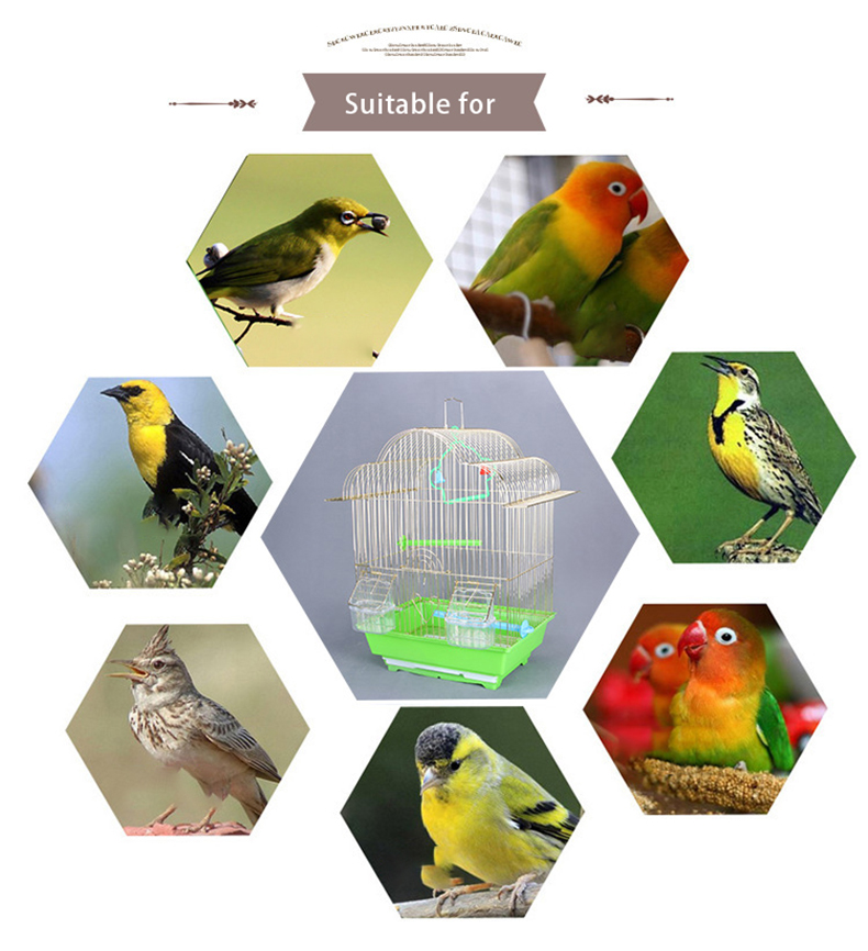 Gaiola para paxaros de alta calidade, gaiola para loros de fío dourado, gaiola para paxaros, periquitos voadores