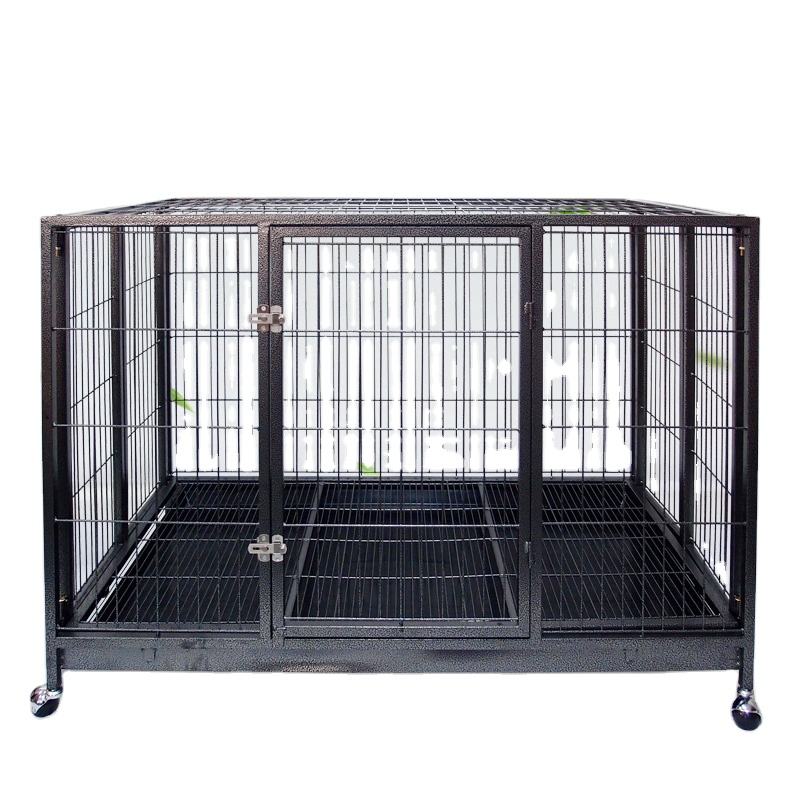 cage ຫມາ