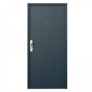 Chinese Professional Flush Panel Hollow Core Door - Dark Grey Simple Color Swing with Jamb Steel /Metal Door KTSS-0001 – Kangton