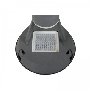 ip66 Aluminum hotsale factory direct sale multi led chips led lens diriver 2700-6500k 30w 100W LED GARDEN LIGHT