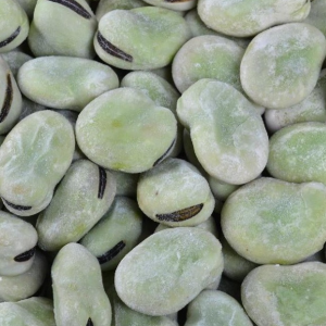 IQF Broad Beans