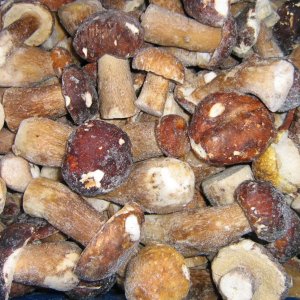 IQF Porcini