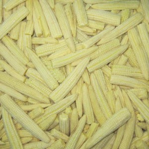 IQF Baby Corns