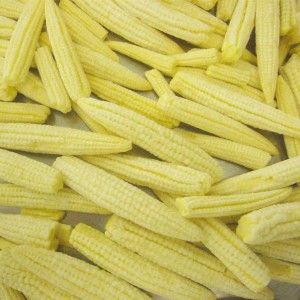 IQF Baby Corns