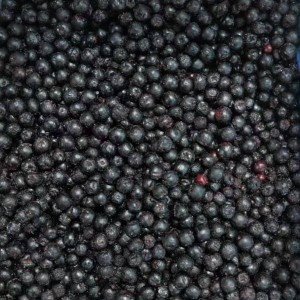 IQF Aronia
