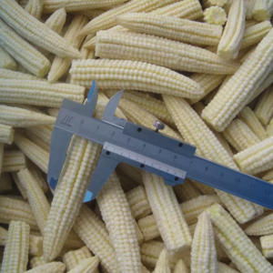IQF Baby Corns