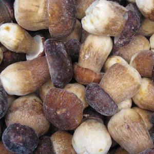 IQF Porcini