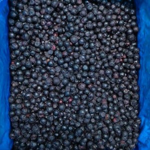 IQF Aronia