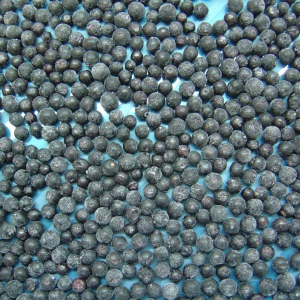 IQF Aronia