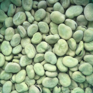 IQF Broad Beans