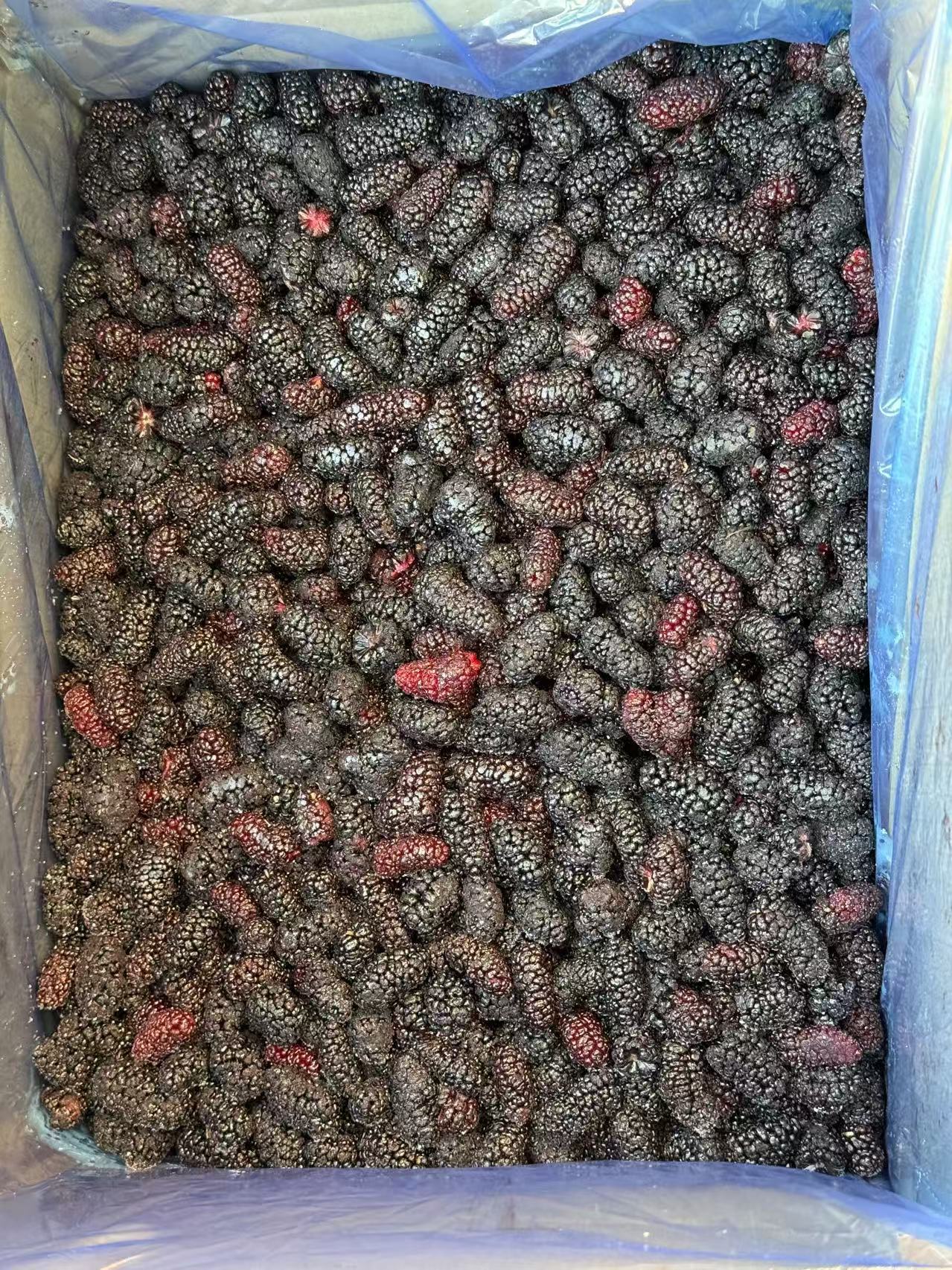 IQF Mulberries: A Premium Choice for Wholesale Supply in the Global Market