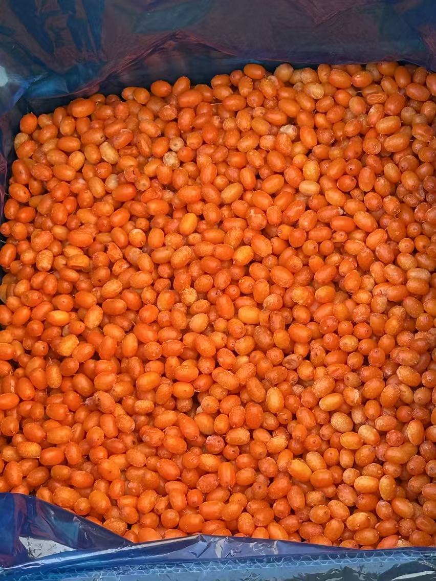 Unlocking the Benefits of IQF Sea Buckthorn: A Superfood for the Modern Market