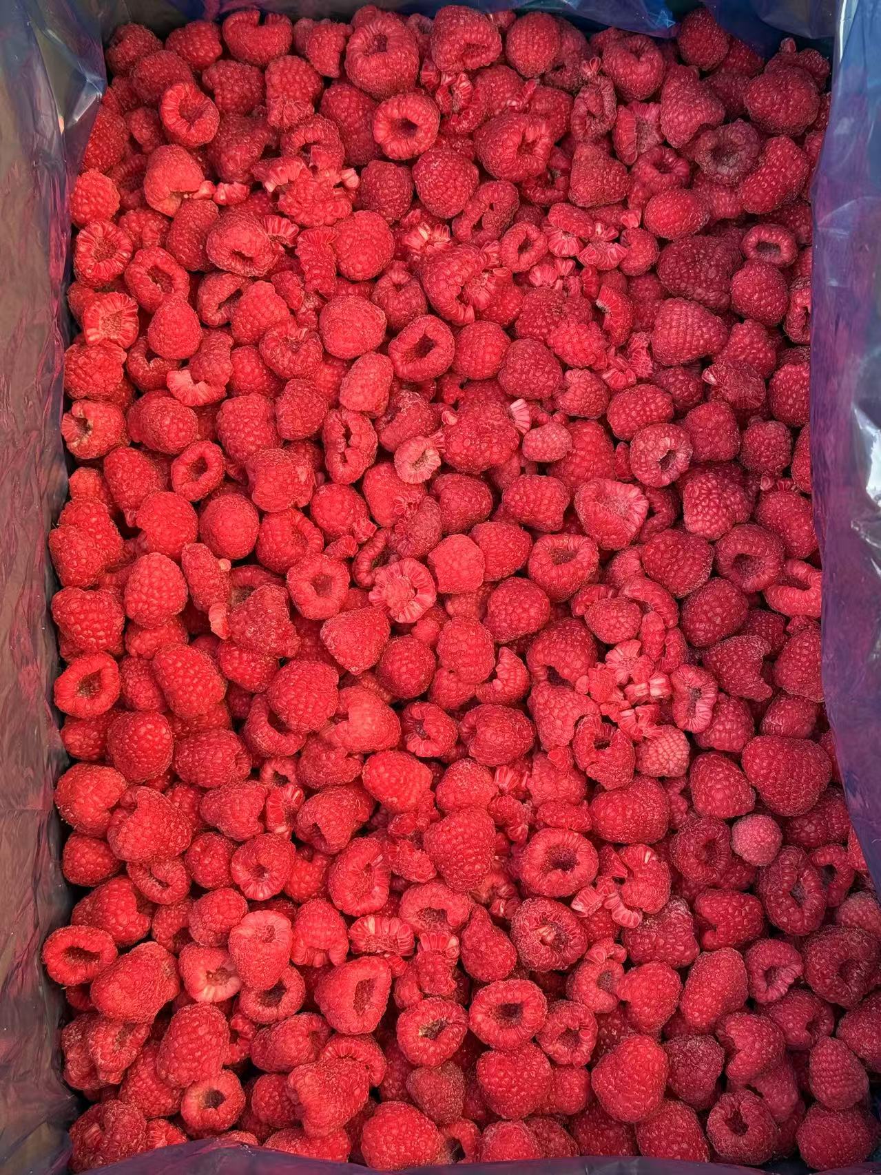 IQF Raspberry: The Frozen Fruit Revolution by KD Healthy Foods