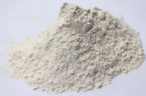Polvere di argilla caolino calcinata Polwhite B per vernici a base solvente