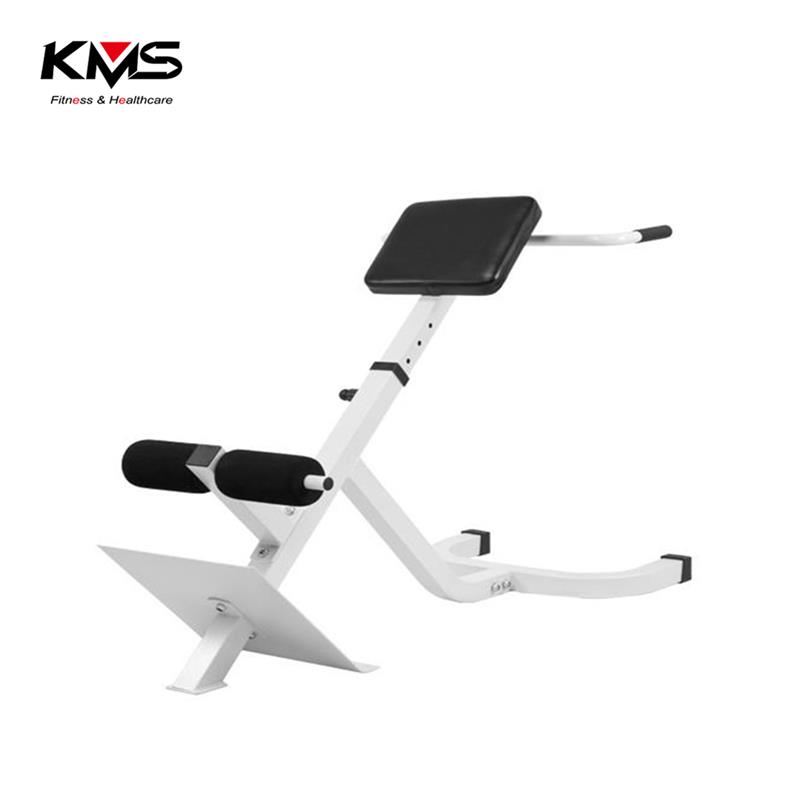 KQ-01102–Back Extension chair