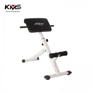 KQ-01104-Back Extension Chair