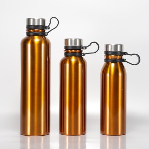 OEM 550ml 600ml 1000ml Copper Painting Stainless Steel Vacuum Sport Bottle with Innovation Design Handle