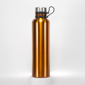 OEM 550ml 600ml 1000ml Copper Painting Stainless Steel Vacuum Sport Bottle with Innovation Design Handle