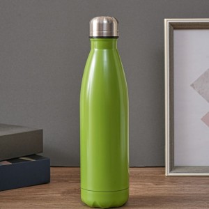 Stainless Steel Double Walled Vacuum Insulated Cola Forma Thermos Ilma Flixkun