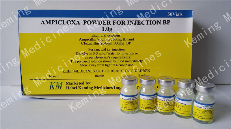 Ampicillin & Cloxacillin for Inj.