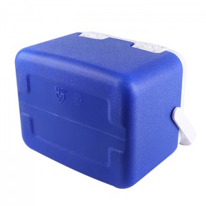 KY106 5L Plastic Cooler Box For BBQ, Camping, Piscatio, Beer, Food