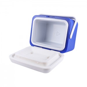 KY106 5L Box Cooler Plastic Ji bo BBQ, Camping, Masîgirtin, Bîr, Xwarin