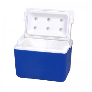I-8L KOOLYOUNG yezoThutho zezoNyango ze-Thermal Insulin Ice Cooler Box