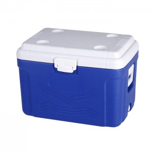 KY601 60L Foras Camping Pisces Fructus Vegetabiles Cans Wine Cooler Box