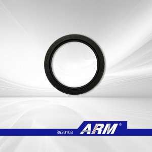 Spare parts,Manufacturer,Factory,arm truck oil seal 3930103